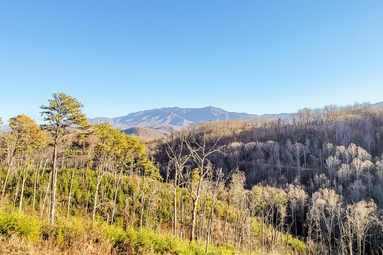 3 Lazy Bears Chalet Villa Gatlinburg Exterior foto