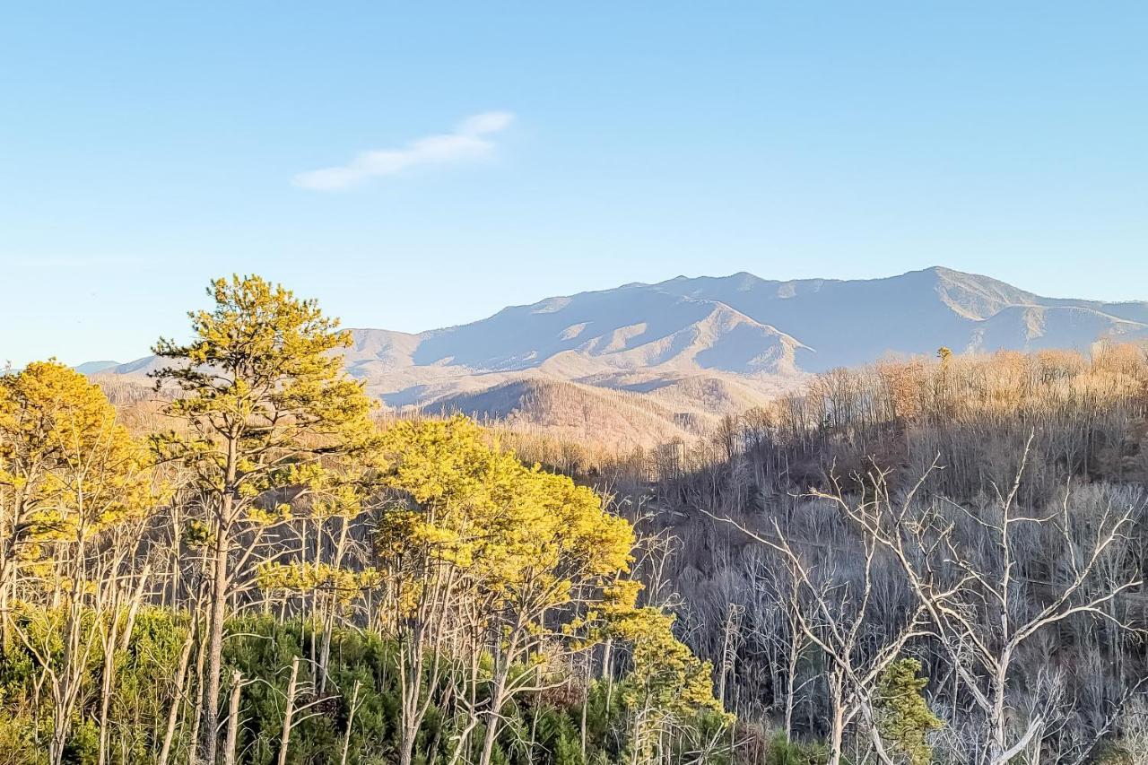 3 Lazy Bears Chalet Villa Gatlinburg Exterior foto