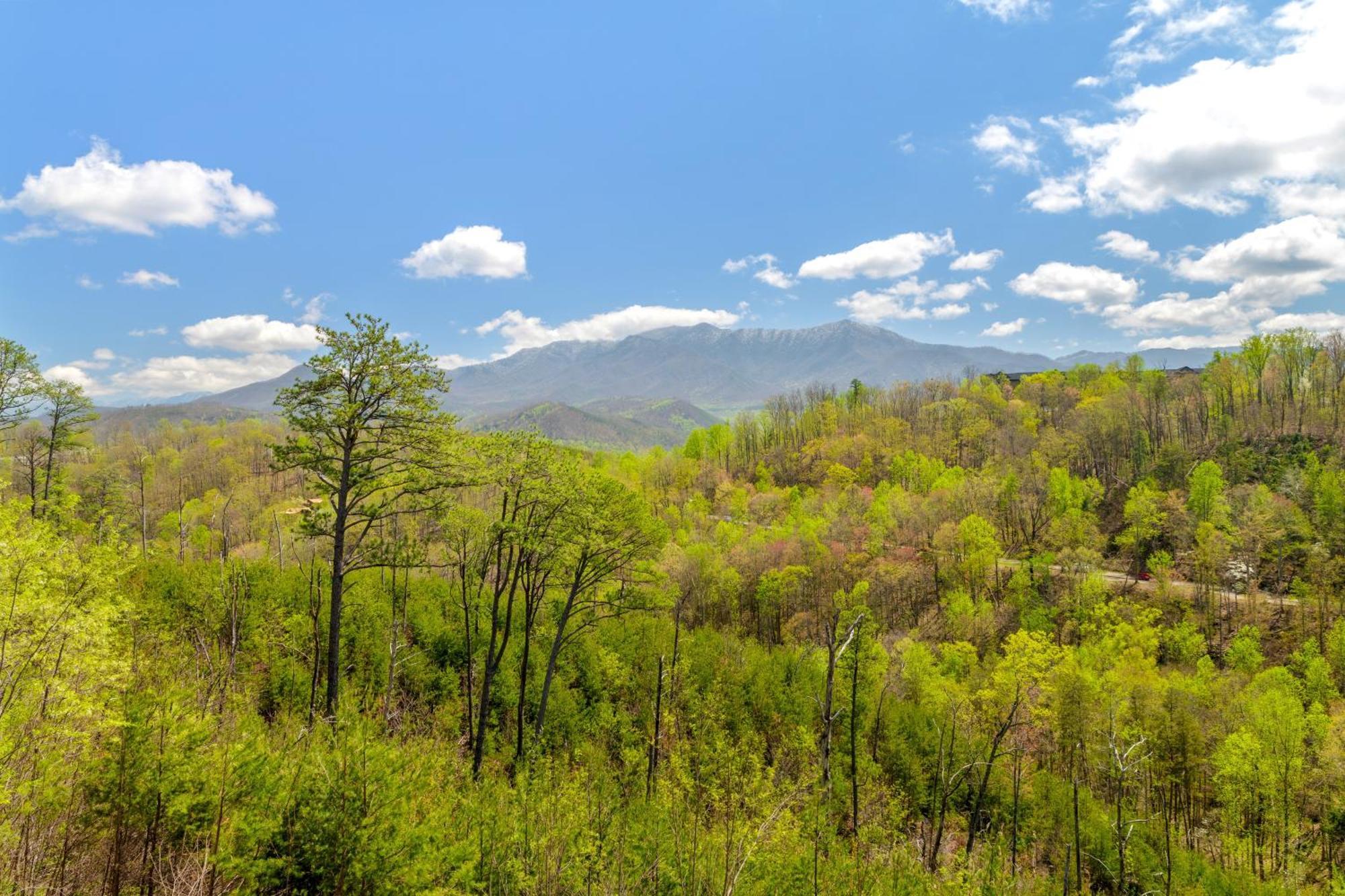 3 Lazy Bears Chalet Gatlinburg Exterior foto